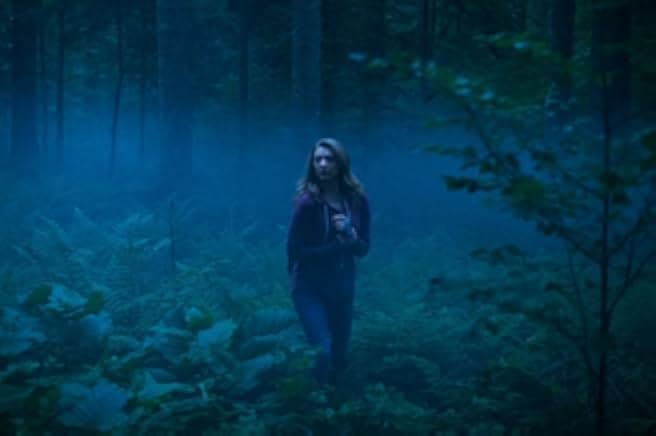 The Forest 2016