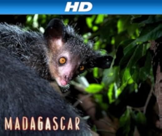 Madagascar 2011