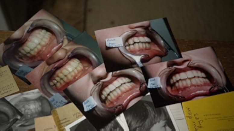 Open Wide 2024