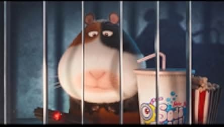 Norman Television 2016