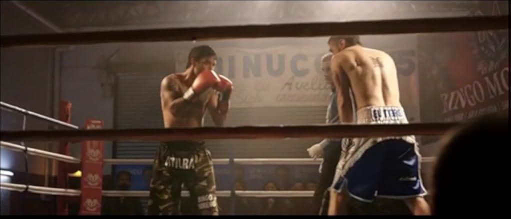 Tiger, Blood in the Mouth 2016