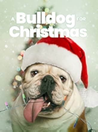 A Bulldog for Christmas 2014