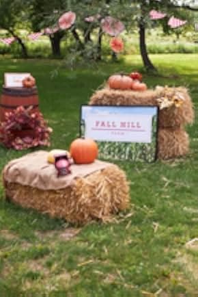 Pumpkin Everything 2022