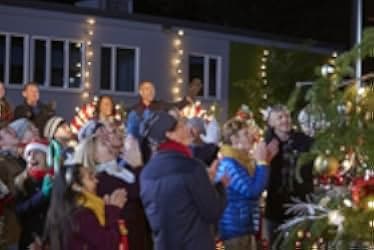 A Christmas Tree Grows in Colorado 2020