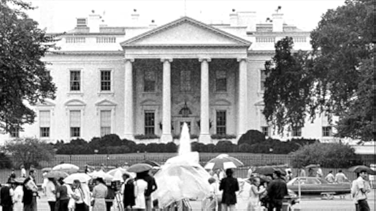 Fish in a Barrel 2020