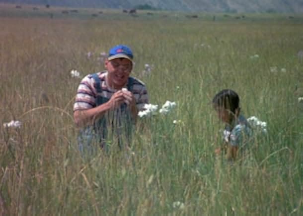 Dark Night of the Scarecrow 1981