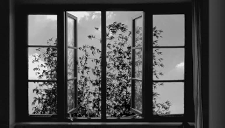 24 Frames 2017