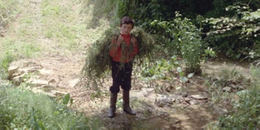 From the Cloud to the Resistance 1980