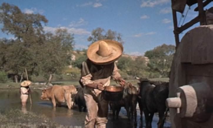 The Wonderful Country 1959