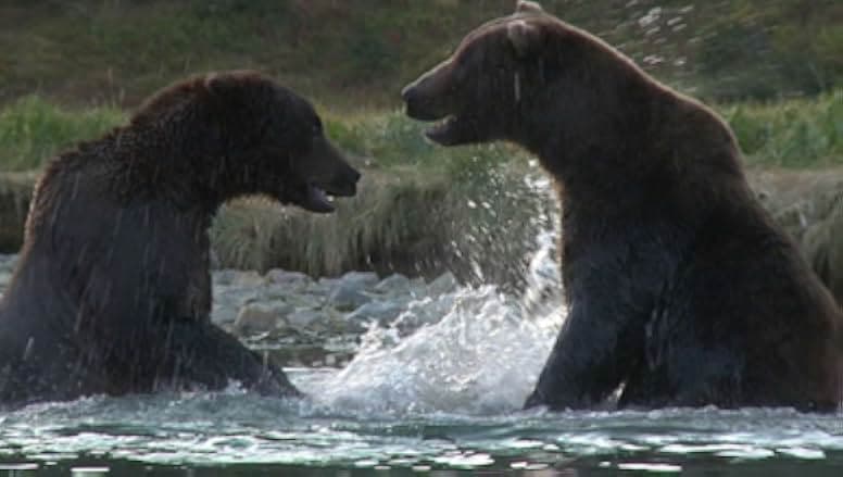 Der Bär in mir 2019