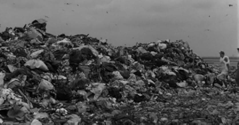 Stardust Memories 1980