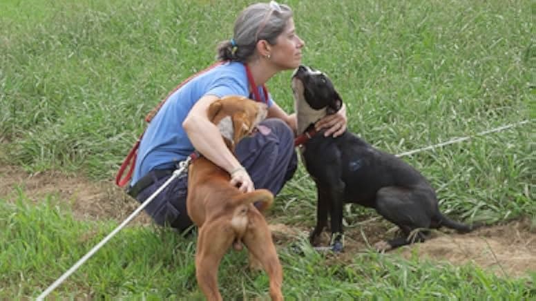 Breaking the Chain 2020