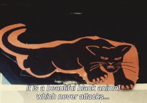 Black Panthers 2015