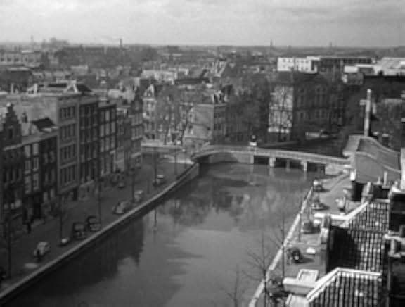 Confidential Report 1955