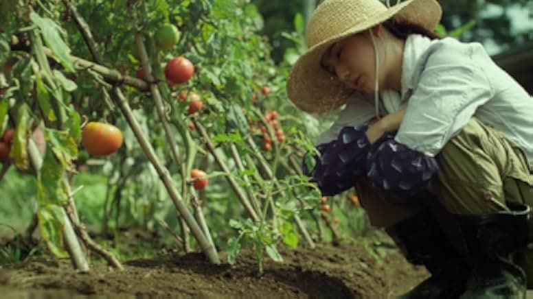 Little Forest: Summer/Autumn 2014