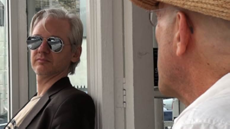 We Steal Secrets 2013