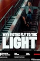 Why Moths Fly to the Light? 2020