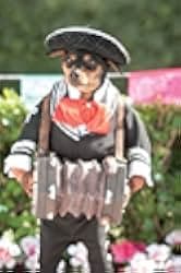 Beverly Hills Chihuahua 3: Viva La Fiesta! 2012