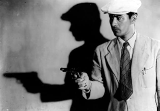 Stray Dog 1949