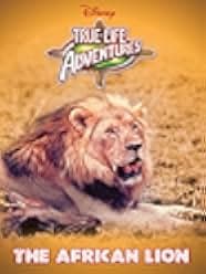 The African Lion 1955