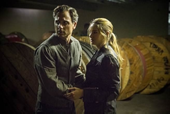 Divergent 2014