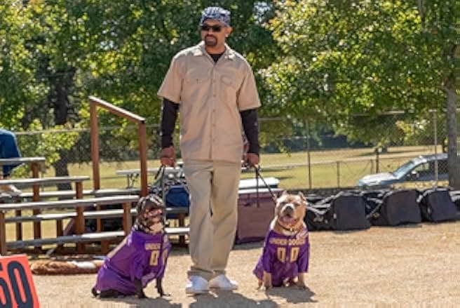 The Underdoggs 2024