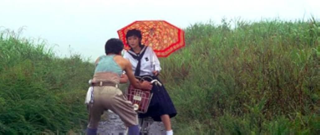 Dabide no hoshi: Bishôjo-gari 1979