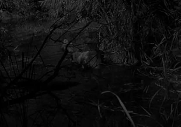 The Mummy's Ghost 1944