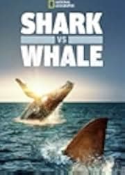 Shark vs. Whale 2020