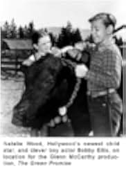 The Green Promise 1949