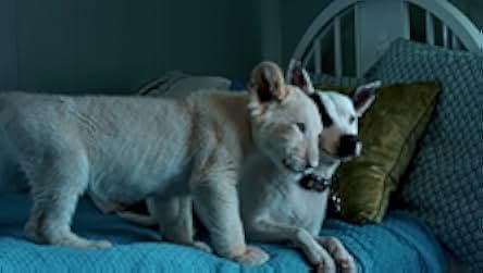 Lena and Snowball 2021