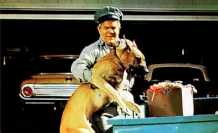 The Ugly Dachshund 1966