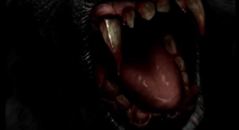 Bloodmonkey 2007
