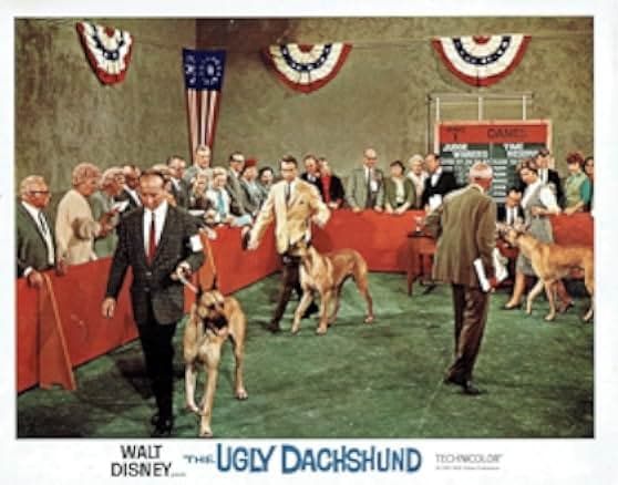 The Ugly Dachshund 1966