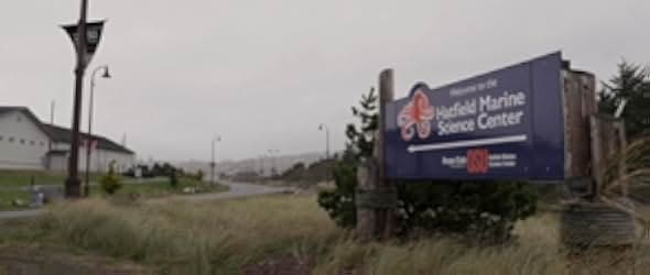 The End of Meat 2017