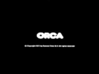 Orca 1977