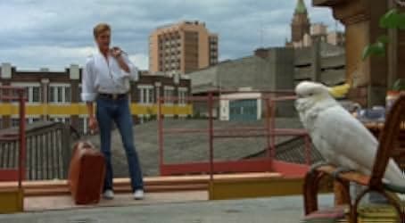 The Coca-Cola Kid 1985