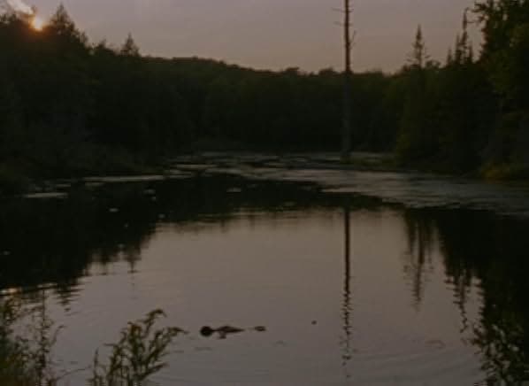 Falcon Lake 2022