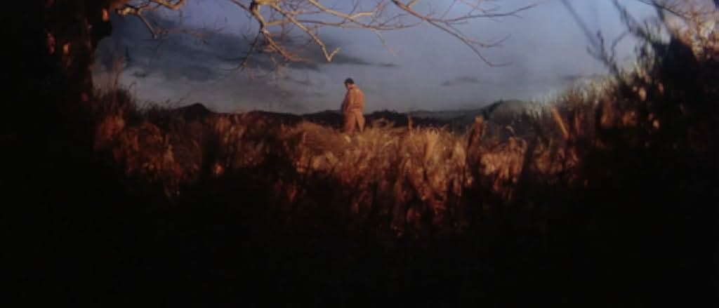 Adventures of Zatoichi 1964