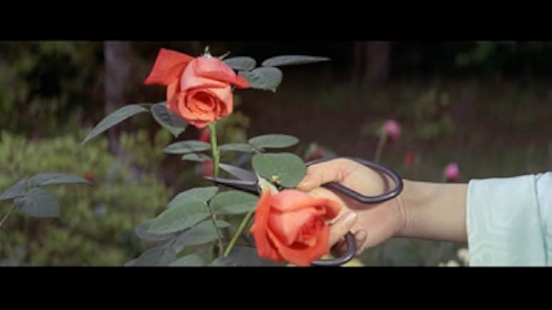 Flower and Snake 1974