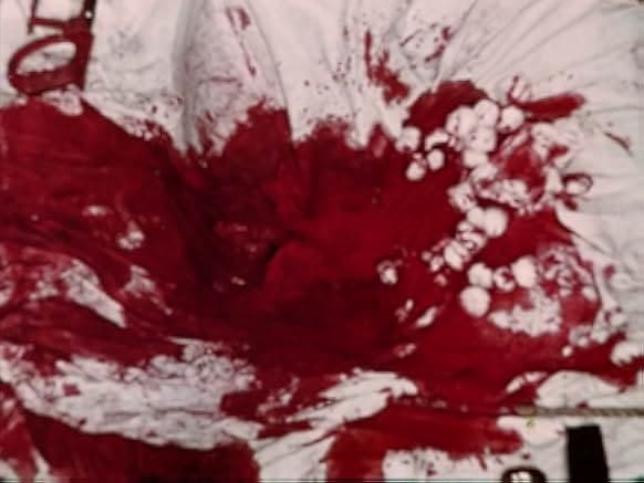 The Last House on Dead End Street 1977