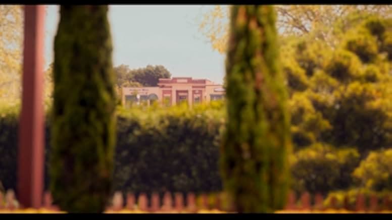 Finding Steve McQueen 2019