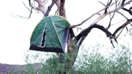 Big Freaking Rat 2020