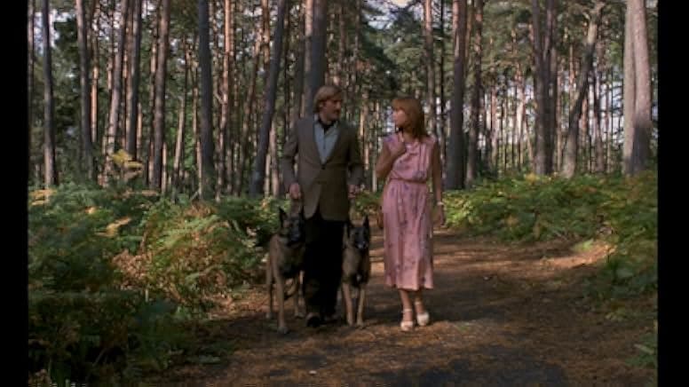 Les chiens 1979