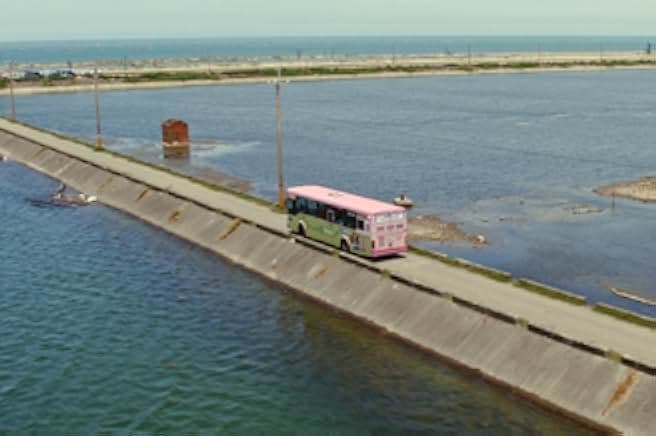 My Missing Valentine 2020