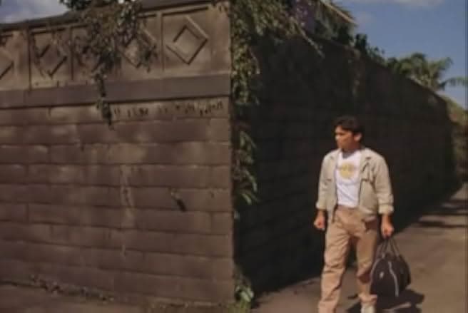 Bloodfist 1989