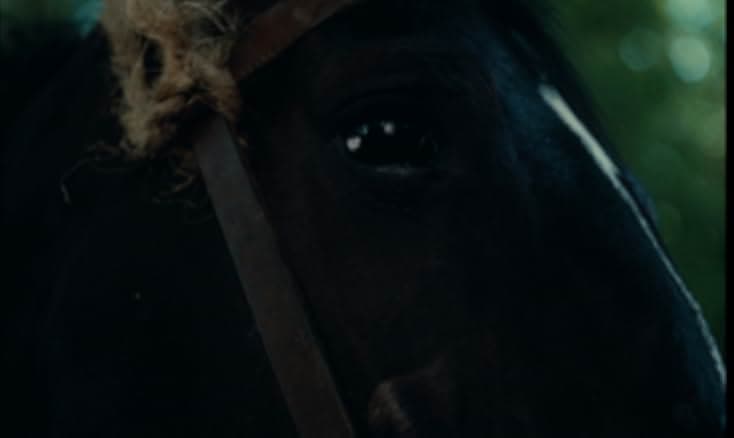 Lancelot of the Lake 1974