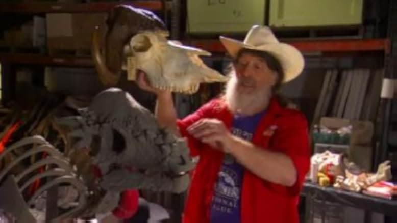 Bizarre Dinosaurs 2009