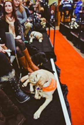 Pick of the Litter 2018
