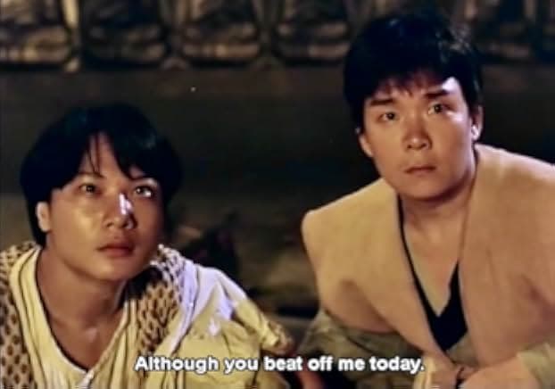 Mi zong wei long 1991